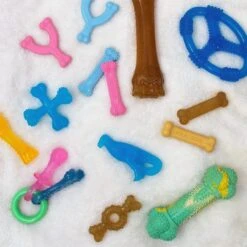 Nylabone Just For Puppies Teething Chew Ring Bone & Toy Ring Bone Twin Pack Flavor Medley & Chicken Flavor 16 Nylabone Just For Puppies Teething Chew Ring Bone & Toy Ring Bone Twin Pack Flavor Medley & Chicken Flavor -Pet Dog Toys 74601 PT5. AC SS1800 V1693419592