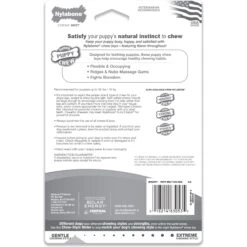 Nylabone Puppy Chew Ring Bone & Toy Twin Pack -Pet Dog Toys 74603 PT7. AC SS1800 V1693419201