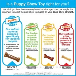 Nylabone Puppy Chew Ring Bone & Toy Twin Pack -Pet Dog Toys 74603 PT8. AC SS1800 V1658778612