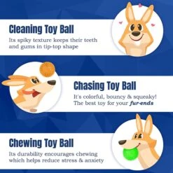CoCoo Spiky Squeaky Dog & Ferret Rubber Ball, Dental Chew Fetch & Play Toy -Pet Dog Toys 748702 PT2. AC SS1800 V1684772788