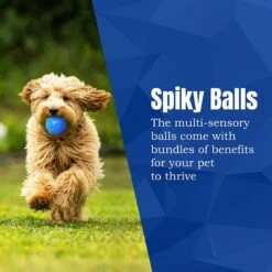 CoCoo Spiky Squeaky Dog & Ferret Rubber Ball, Dental Chew Fetch & Play Toy -Pet Dog Toys 748702 PT4. AC SS1800 V1684772851