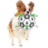 SunGrow Soccer Ball Dog & Cat Toy -Pet Dog Toys 753862 MAIN. AC SS1800 V1677095276