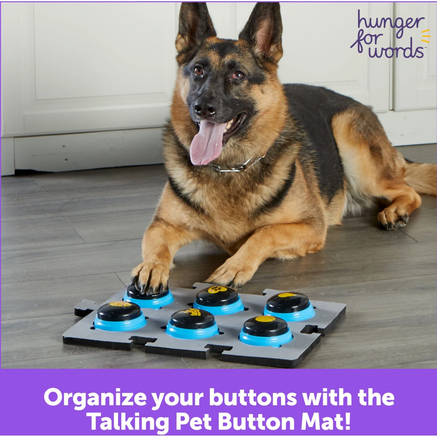 Hunger For Words Talking Pet Button Mat Dog Toy & Hunger For Words Talking Pet Starter Set Dog Toy 11 Hunger For Words Talking Pet Button Mat Dog Toy & Hunger For Words Talking Pet Starter Set Dog Toy - Image 9
