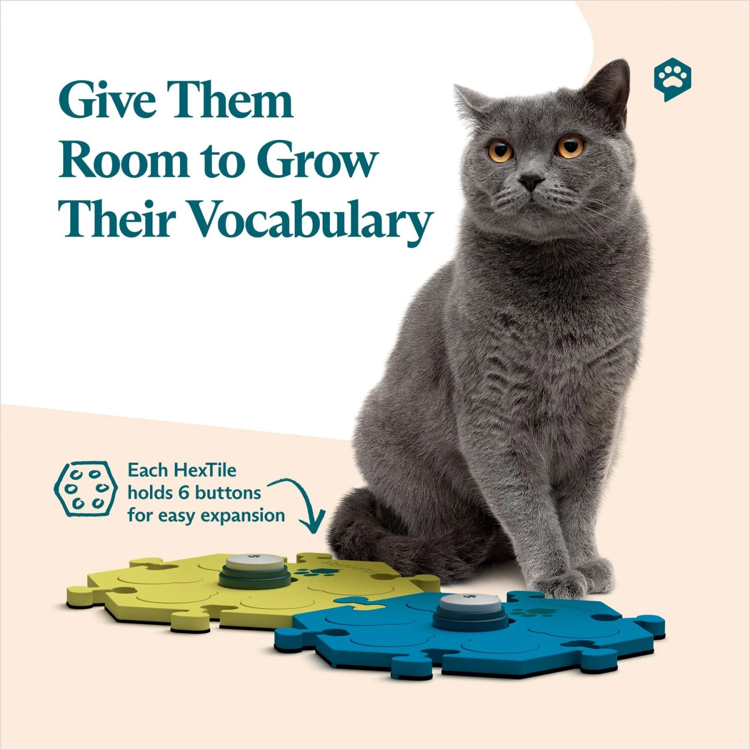 FluentPet Tester Kit Learning Cat & Dog Toy, Assorted 6 FluentPet Tester Kit Learning Cat & Dog Toy, Assorted - Image 4