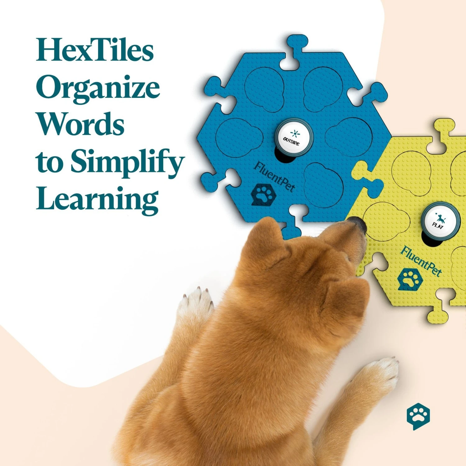 FluentPet Tester Kit Learning Cat & Dog Toy, Assorted 7 FluentPet Tester Kit Learning Cat & Dog Toy, Assorted - Image 5