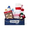 Goody Box Holiday Dog Toys & Treats -Pet Dog Toys 767910 MAIN. AC SS1800 V1696258570