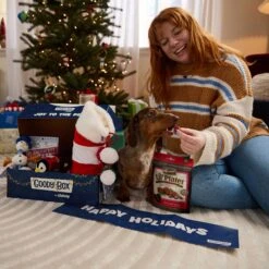 Goody Box Holiday Dog Toys & Treats -Pet Dog Toys 767910 PT2. AC SS1800 V1696258571