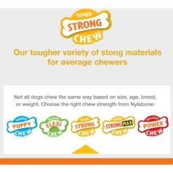 Nylabone Sneaky Snacker Bacon Flavor Dog Treat Toy, Orange -Pet Dog Toys 784398 PT7. AC SS1800 V1677077853