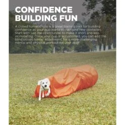 Pet Dog Toys -Pet Dog Toys 786494 PT1. AC SS1800 V1682628083