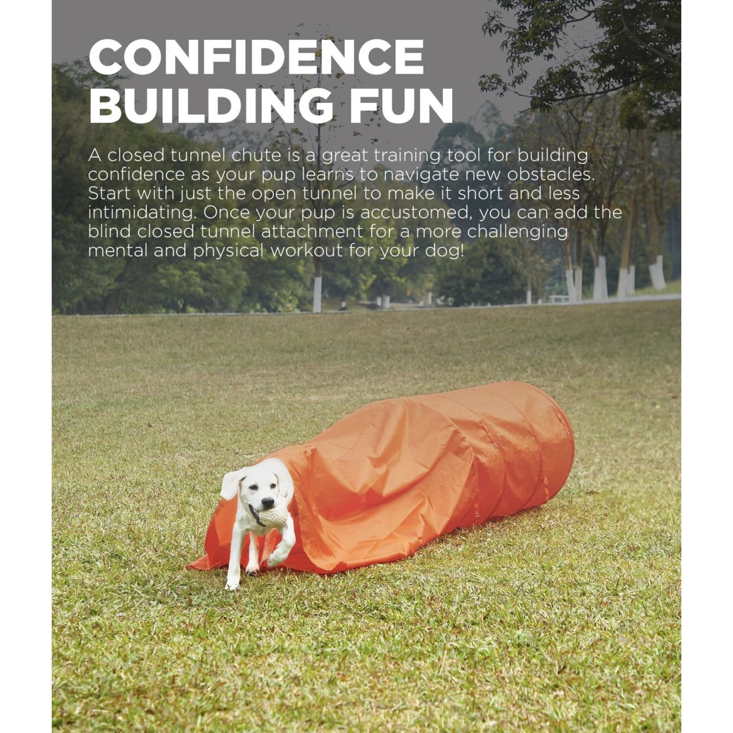 Outward Hound Zip & Zoom Closed Tunnel Chute Attachment With Metal Stakes Dog Agility Kit, Orange 4 Outward Hound Zip & Zoom Closed Tunnel Chute Attachment With Metal Stakes Dog Agility Kit, Orange - Image 2