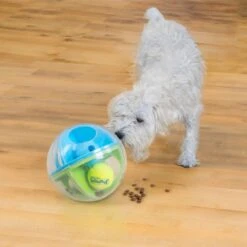 Outward Hound A-Maze Ball Puzzle & Treat Maze Interactive Dog Toy, Green -Pet Dog Toys 786510 PT6. AC SS1800 V1682628695