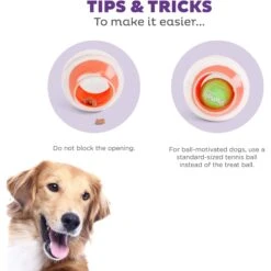 Outward Hound Dog Rumble Puzzle Ball Puzzle & Treat Maze Interactive Dog Toy, Orange -Pet Dog Toys 786558 PT3. AC SS1800 V1694286712