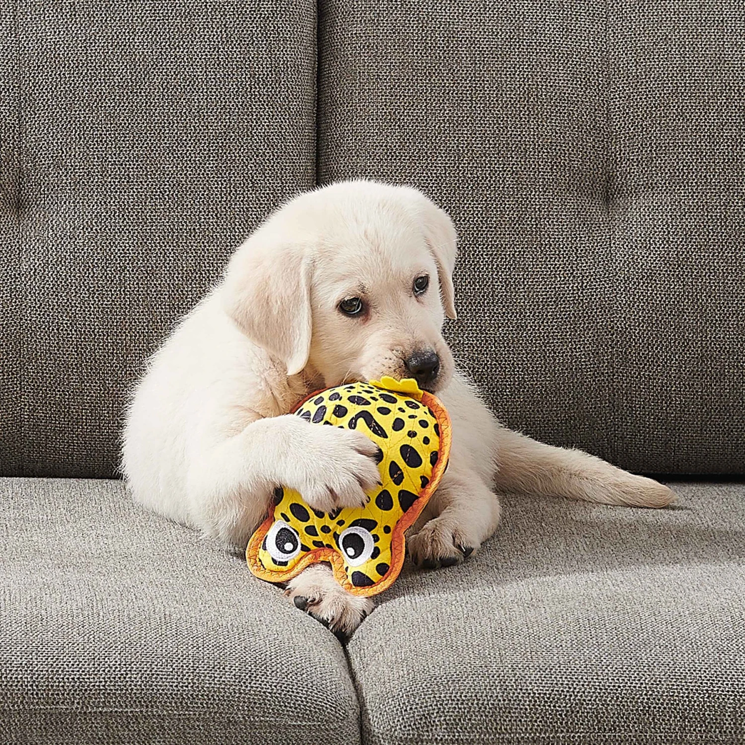 Outward Hound Xtreme Seamz Dart Frog Squeaky Durable Dog Toy, Yellow, Medium 8 Outward Hound Xtreme Seamz Dart Frog Squeaky Durable Dog Toy, Yellow, Medium - Image 6