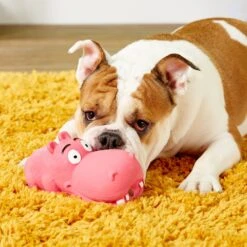 Multipet Latex Hippo Squeaky Dog Toy, Color Varies -Pet Dog Toys 78732 PT8. AC SS1800 V1506976486