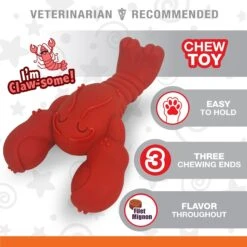 Nylabone Power Chew Lobster Dog Toy, Red 13 Nylabone Power Chew Lobster Dog Toy, Red -Pet Dog Toys 794790 PT2. AC SS1800 V1679083515