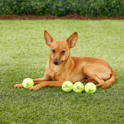 Hyper Pet K9 Kannon Mini K2 Dog Toy -Pet Dog Toys 80076 PT2. AC SS1800 V1489184698