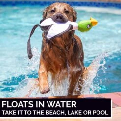 Hyper Pet Flying Series Dog Toy -Pet Dog Toys 80093 PT3. AC SS1800 V1605657406