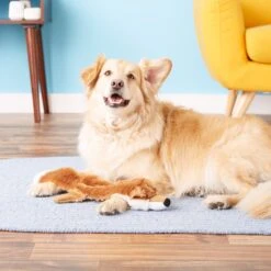 Hyper Pet Fox Critter Skinz Dog Toy -Pet Dog Toys 80098 PT1. AC SS1800 V1530546859