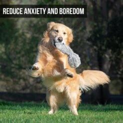 Hyper Pet Doggie Tail Interactive Dog Toy -Pet Dog Toys 80151 Pt3. AC SS1800 V1583767075