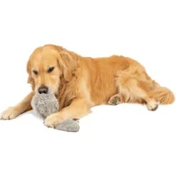 Hyper Pet Doggie Tail Interactive Dog Toy -Pet Dog Toys 80151 Pt5. AC SS1800 V1583768575