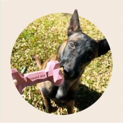 Mount Ara Superbite Dog Toy, 2 Count -Pet Dog Toys 802526 PT2. AC SS1800 V1678802958