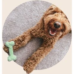 Mount Ara Superbite Dog Toy, 2 Count -Pet Dog Toys 802526 PT3. AC SS1800 V1678799080