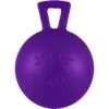 Jolly Pets Tug-n-Toss M-ini Dog Toy 2 Jolly Pets Tug-n-Toss M-ini Dog Toy -Pet Dog Toys 80416 MAIN. AC SS1800 V1629246721