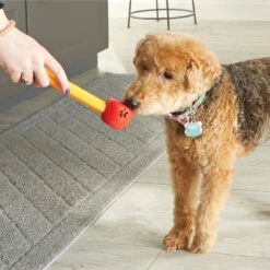 Brightkins Pooch School! Training Set Dog Toys -Pet Dog Toys 805342 PT3. AC SS1800 V1682450379