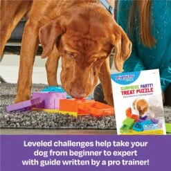Brightkins Surprise Party! Puzzle Treat Dog Toy -Pet Dog Toys 805390 PT2. AC SS1800 V1679069715