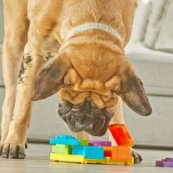 Brightkins Surprise Party! Puzzle Treat Dog Toy -Pet Dog Toys 805390 PT3. AC SS1800 V1682450532