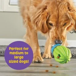 Brightkins Cactus Surprise! Treat Dispensing Dog Toy -Pet Dog Toys 805422 PT4. AC SS1800 V1682450356