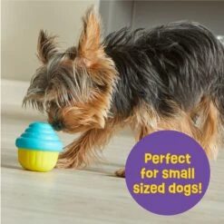 Brightkins Small Cupcake Treat Dispenser Dog Toy -Pet Dog Toys 805438 PT3. AC SS1800 V1682450416