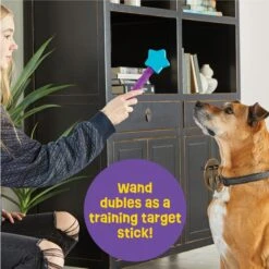Brightkins Magic Wand! Star Treat Dispensing Dog Tpy -Pet Dog Toys 805454 PT2. AC SS1800 V1678999699