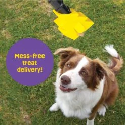 Brightkins Magic Wand! Bolt Treat Dispensing Dog Toy -Pet Dog Toys 805470 PT3. AC SS1800 V1682450563