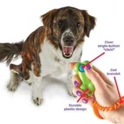 Brightkins Smarty Pooch Bone Dog Training Clicker -Pet Dog Toys 805486 PT3. AC SS1800 V1682450551