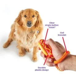 Brightkins Smarty Pooch Hot Dog Dog Training Clicker -Pet Dog Toys 805502 PT3. AC SS1800 V1682450571