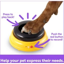 Hunger For Words Talking Pet Next Words: Names Dog Toy 10 Hunger For Words Talking Pet Next Words: Names Dog Toy -Pet Dog Toys 805566 PT4. AC SS1800 V1682450408