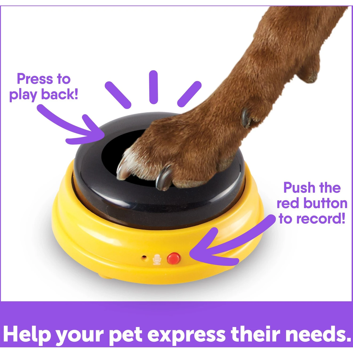 Hunger For Words Talking Pet Next Words: Names Dog Toy 6 Hunger For Words Talking Pet Next Words: Names Dog Toy - Image 4