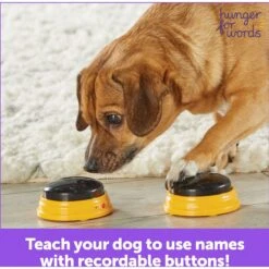 Hunger For Words Talking Pet Next Words: Names Dog Toy 11 Hunger For Words Talking Pet Next Words: Names Dog Toy -Pet Dog Toys 805566 PT5. AC SS1800 V1682450554