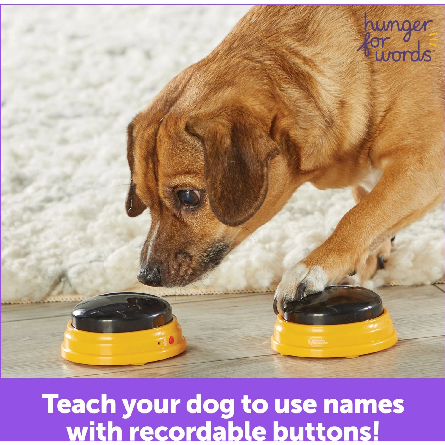 Hunger For Words Talking Pet Next Words: Names Dog Toy 7 Hunger For Words Talking Pet Next Words: Names Dog Toy - Image 5