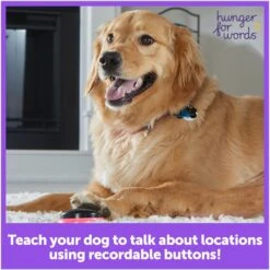 Hunger For Words Talking Pet Next Words: Locations Dog Toy -Pet Dog Toys 805582 PT2. AC SS1800 V1679069469