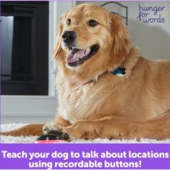 Hunger For Words Talking Pet Next Words: Locations Dog Toy -Pet Dog Toys 805582 PT5. AC SS1800 V1682450486