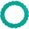 Li'l Pals Antimicrobial Ring Squeaky Dog Toy, Teal 2 Li'l Pals Antimicrobial Ring Squeaky Dog Toy, Teal -Pet Dog Toys 805726 MAIN. AC SS1800 V1683041987