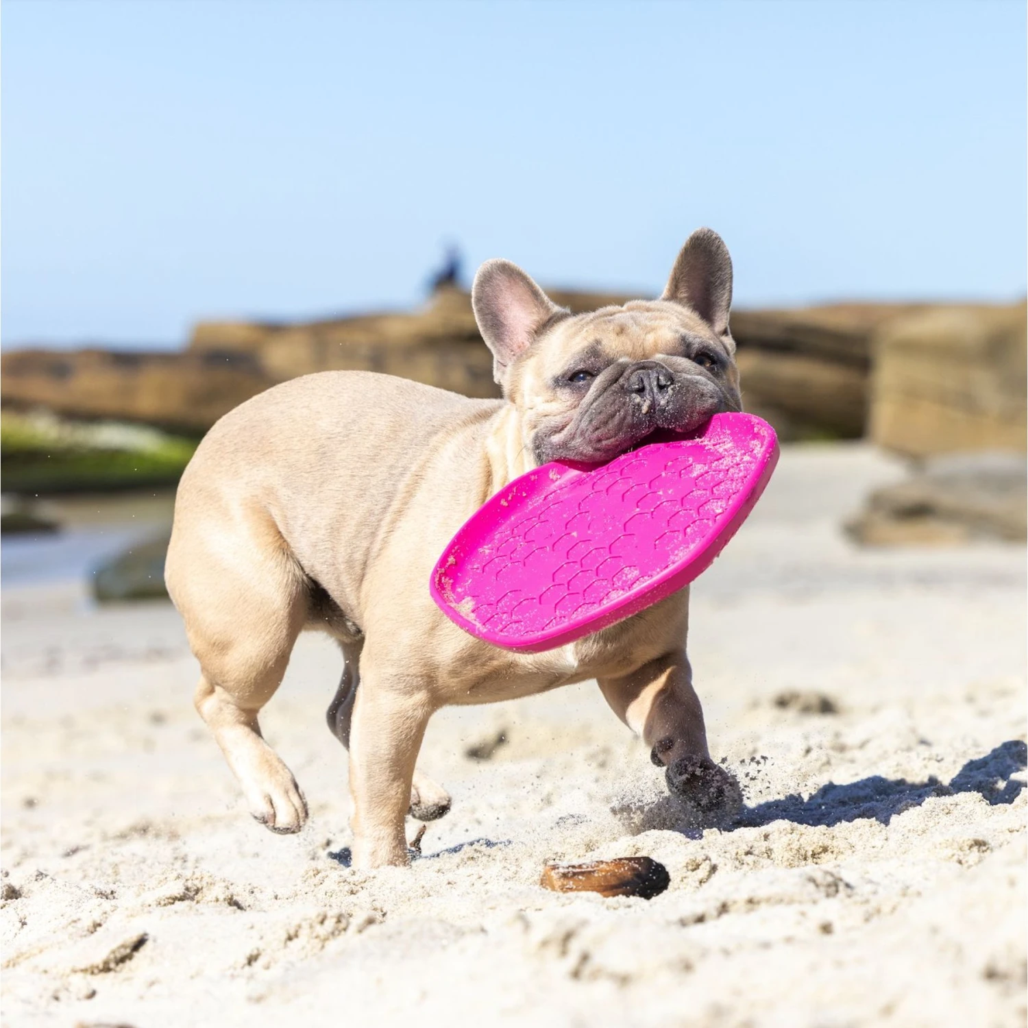 Project Hive Pet Company Hive Wild Berry Scented Disc & Lick Mat Dog Toy, Pink 7 Project Hive Pet Company Hive Wild Berry Scented Disc & Lick Mat Dog Toy, Pink - Image 5