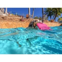 Project Hive Pet Company Hive Wild Berry Scented Disc & Lick Mat Dog Toy, Pink 15 Project Hive Pet Company Hive Wild Berry Scented Disc & Lick Mat Dog Toy, Pink -Pet Dog Toys 805950 PT6. AC SS1800 V1683566323