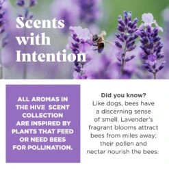 Project Hive Pet Company Hive Calming Lavender Scented Chew Dog Toy, Purple, Large, Purple 10 Project Hive Pet Company Hive Calming Lavender Scented Chew Dog Toy, Purple, Large, Purple -Pet Dog Toys 806014 PT2. AC SS1800 V1683565419