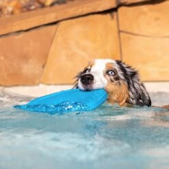 Project Hive Pet Company Hive Soothing Vanilla Scented Disc & Lick Mat Dog Toy, Blue -Pet Dog Toys 806046 PT5. AC SS1800 V1683560609