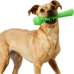 Project Hive Pet Company Hive Tropical Coconut Scented Fetch Stick Dog Toy, Green -Pet Dog Toys 806126 PT5. AC SS1800 V1683567993
