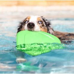 Project Hive Pet Company Hive Tropical Coconut Scented Disc & Lick Mat Dog Toy, Green 11 Project Hive Pet Company Hive Tropical Coconut Scented Disc & Lick Mat Dog Toy, Green -Pet Dog Toys 806142 PT4. AC SS1800 V1683565308