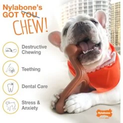 Nylabone Power Chew Peanut Butter Flavored Dog Chew Toy 14 Nylabone Power Chew Peanut Butter Flavored Dog Chew Toy -Pet Dog Toys 80694 PT3. AC SS1800 V1674661429